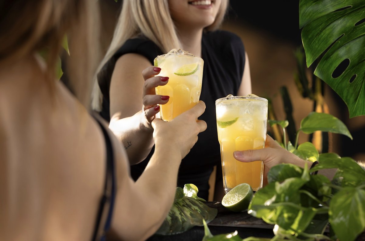 Zwei Frauen stoßen mit Longdrinks mit Limette an, umgeben von grünen Pflanzen