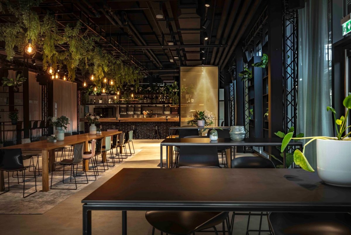 Loftartiges Restaurant mit hängenden Pflanzen, Glühbirnen und warm beleuchteter Bar